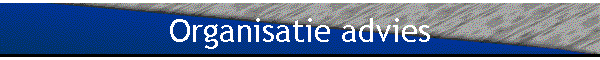 Organisatie advies